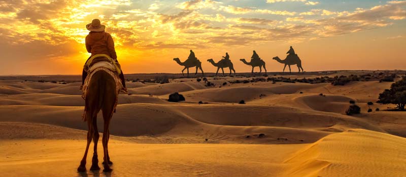 camelsafari